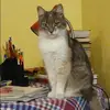 Отзыв от Карина Анохина